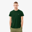 Erkek Regular Fit Bisiklet Yaka T-shirt LACOSTE