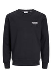 Jack&Jones Erkek Sweatshirt 12256831