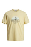 Jack&Jones Erkek T-Shirt 12255238