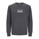 Jack&Jones Erkek Sweatshirt 12225139