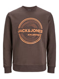 Jack&Jones Erkek Sweatshirt 12247049