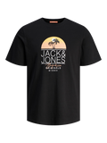 Jack&Jones Erkek T-Shirt 12255238