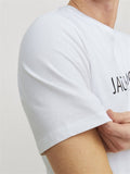 Jack&Jones Plus Erkek T-Shirt 12256971