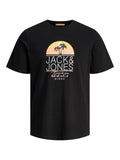 Jack&Jones Erkek T-Shirt 12255238