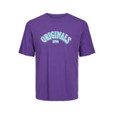 Jack&Jones Erkek T-Shirt 12232256