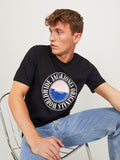 Jack&Jones Erkek T-Shirt 12250411