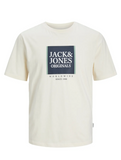 Jack&Jones Erkek T-Shirt 12252681
