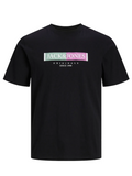 Jack&Jones Erkek T-Shirt 12252681