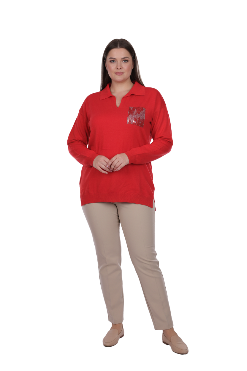 Daıdo Kadın Polo Yaka Regular Kesim Uzun Kollu Pul Detaylı Triko Kazak 20K321900130 Ana görsel