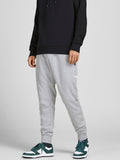Jack&Jones Erkek Eşofman Altı 12184970