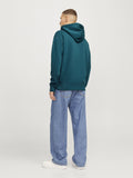 Jack&Jones Erkek Sweatshirt 12233972