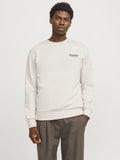 Jack&Jones Erkek Sweatshirt 12256831