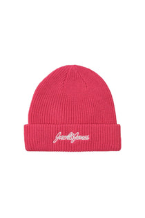 Jack&Jones Minimalist Erkek Örgü Bere - Günlük Stil