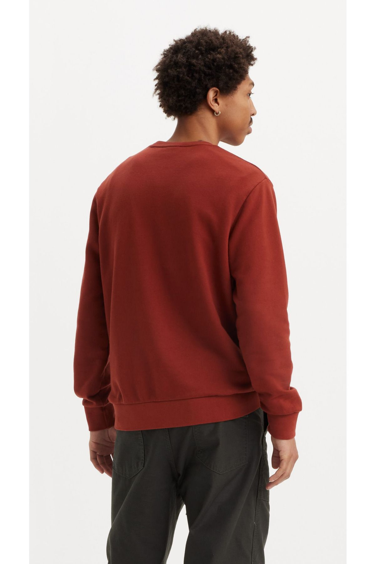 Levi's Erkek Oversize Yuvarlak Yaka Sweatshirt - Günlük & Streetwear İkincil görsel