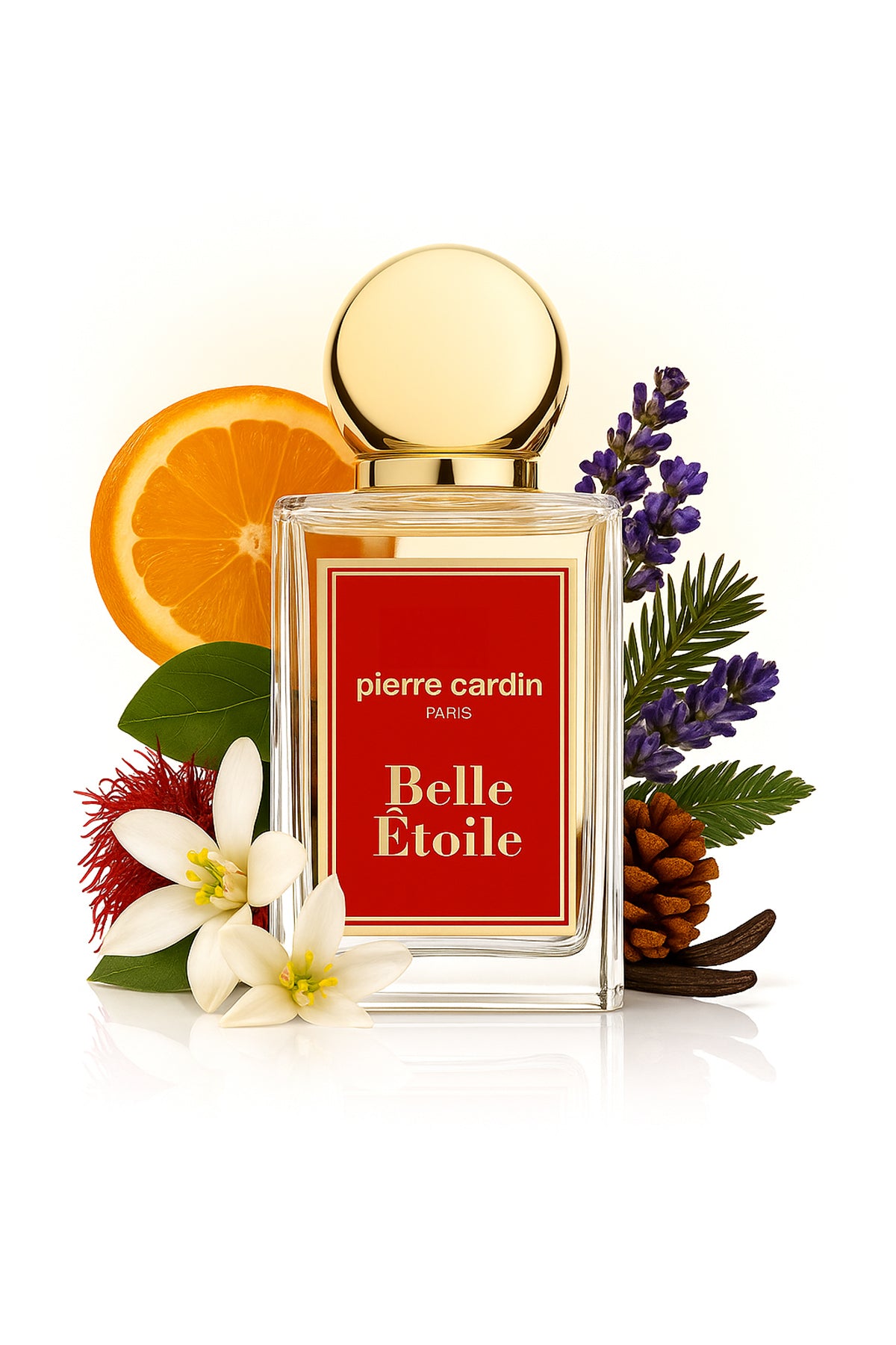 Pierre Cardin Kadın Parfüm PCCB0010 Translation missing: tr.content.product_image_secondary