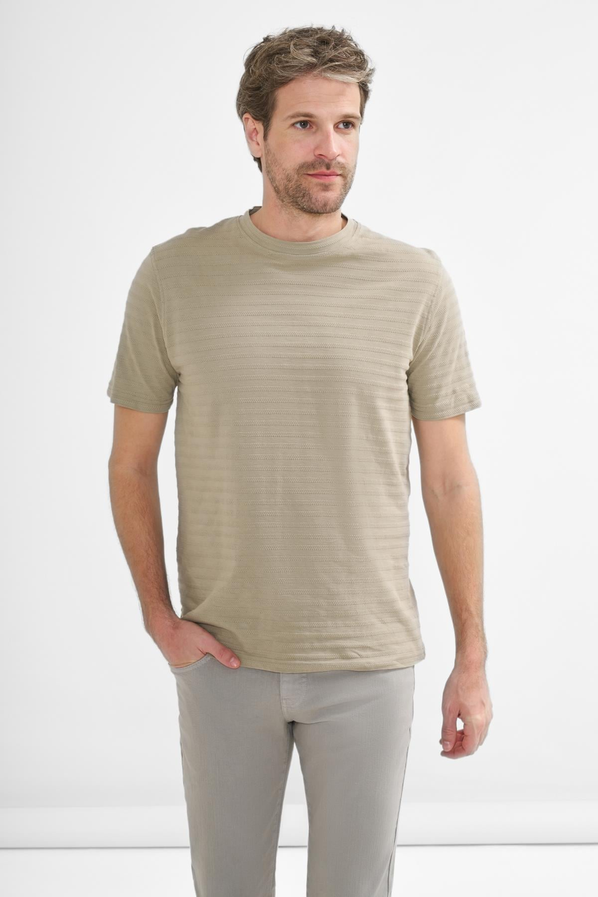 İntersivin Erkek Bisiklet Yaka Dokulu Çizgili Kısa Kollu Pamuk Karışımlı T-Shirt BRŞ-03 Ana görsel