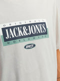 Jack&Jones Erkek T-Shirt 12250411