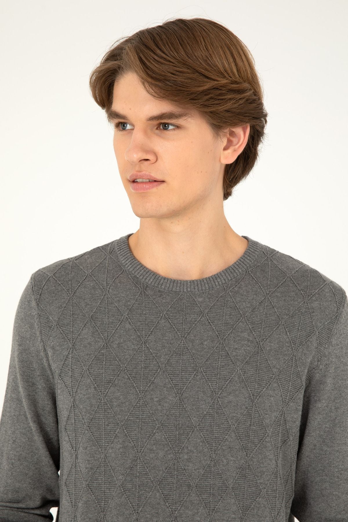 U.S. Polo Assn. Erkek Minimalist Desenli Regular Fit Uzun Kol Kazak İkincil görsel