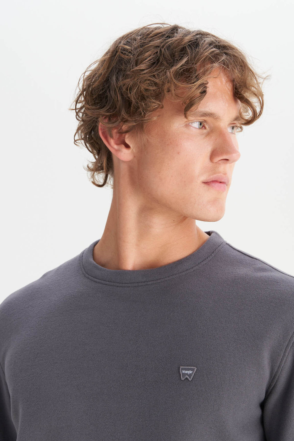 Wrangler Erkek Regular Fit Normal Kesim Bisiklet Yaka Selanik Örgü Sweatshirt