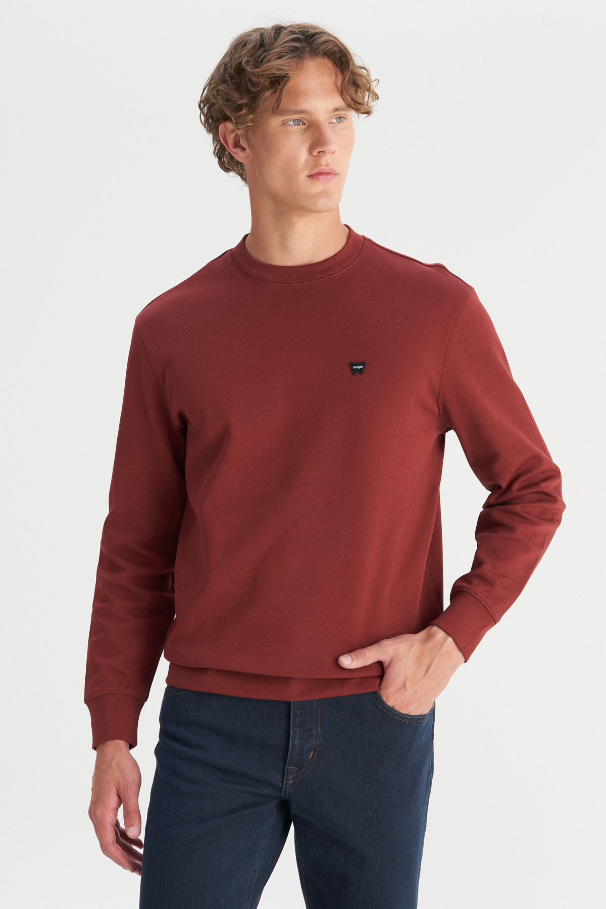 Wrangler Erkek Regular Fit Normal Kesim Bisiklet Yaka Logo Detaylı Sweatshirt Translation missing: tr.content.product_image_main