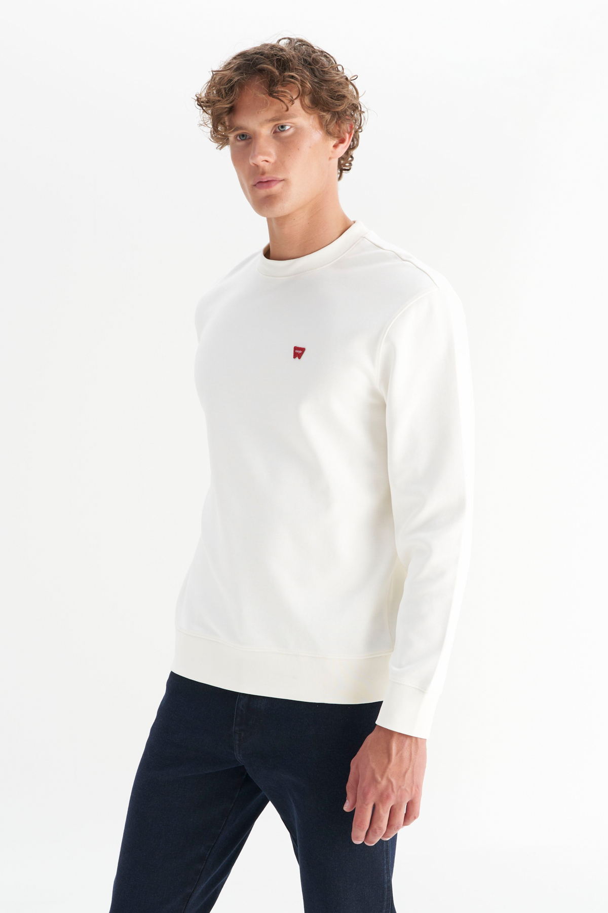 Wrangler Erkek Bisiklet Yaka Regular Kalıp Örme Uzun Kollu Sweatshirt W2520255W02 İkincil görsel